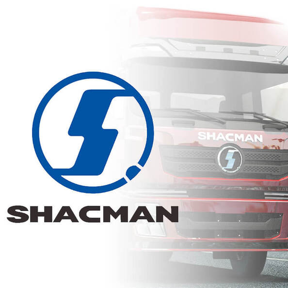 Shacman Truck Parts